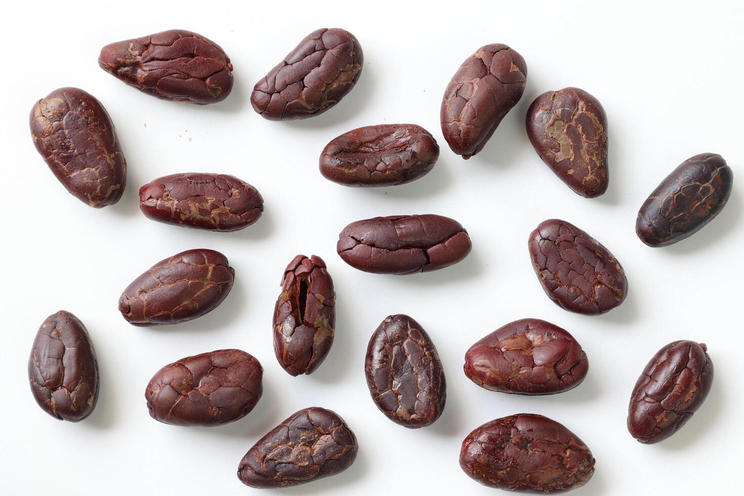 Brown roasted cocoa beans seeds, cocoa bean photo