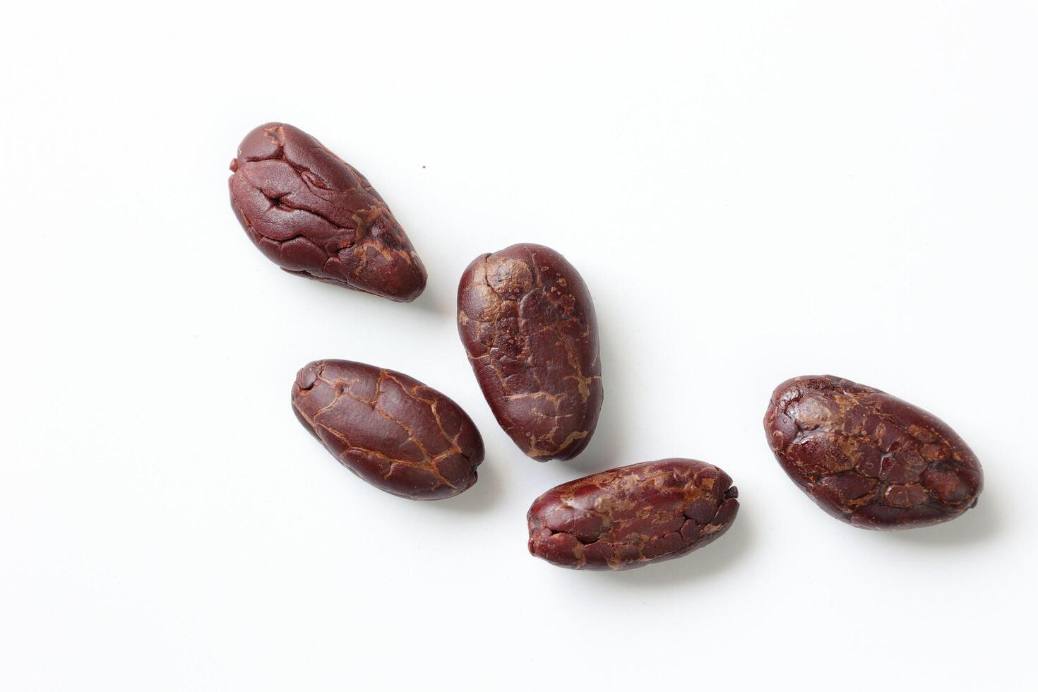 Brown roasted cocoa beans seeds, cocoa bean photo