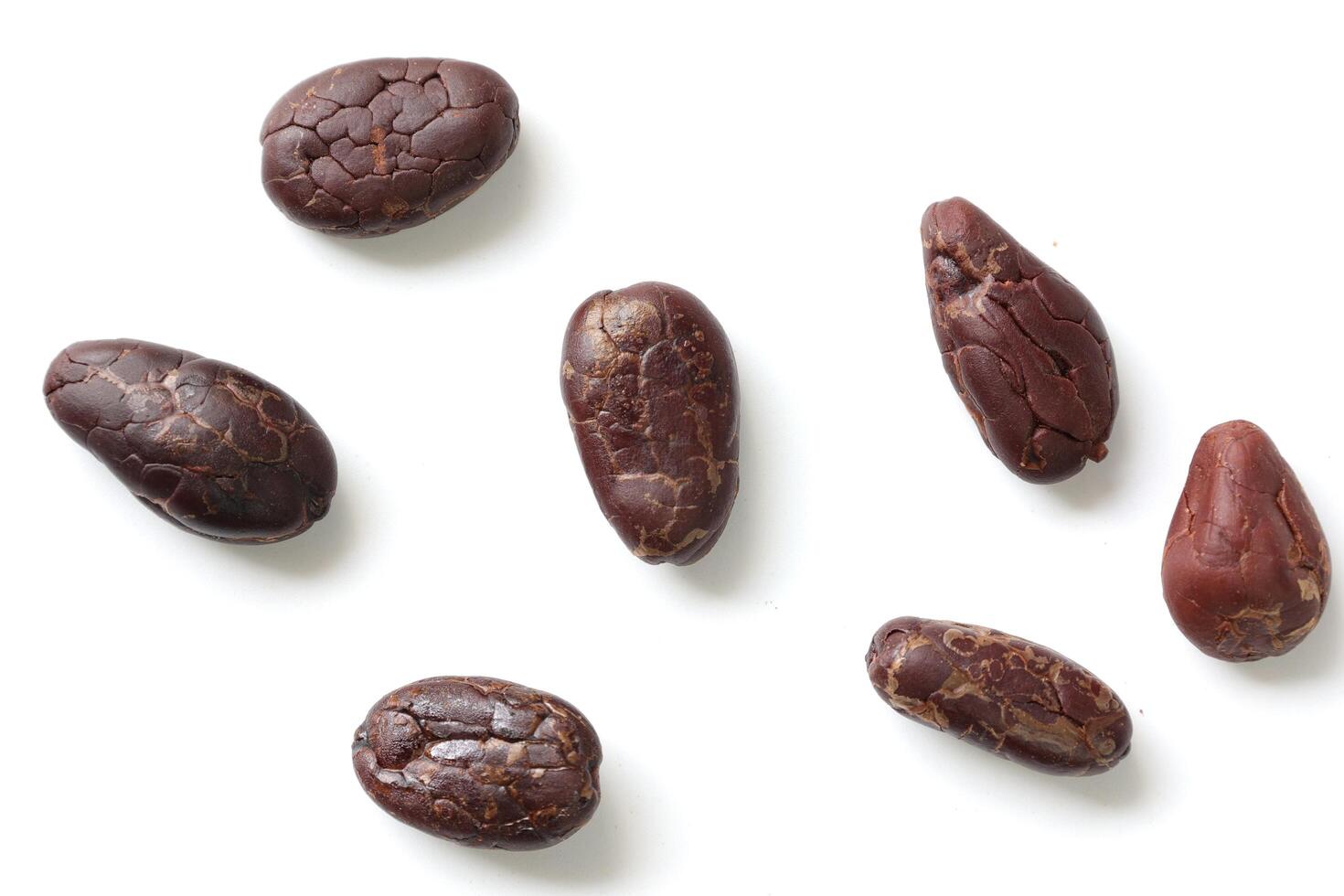 Brown roasted cocoa beans seeds, cocoa bean photo