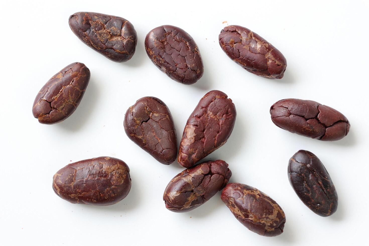 Brown roasted cocoa beans seeds, cocoa bean photo