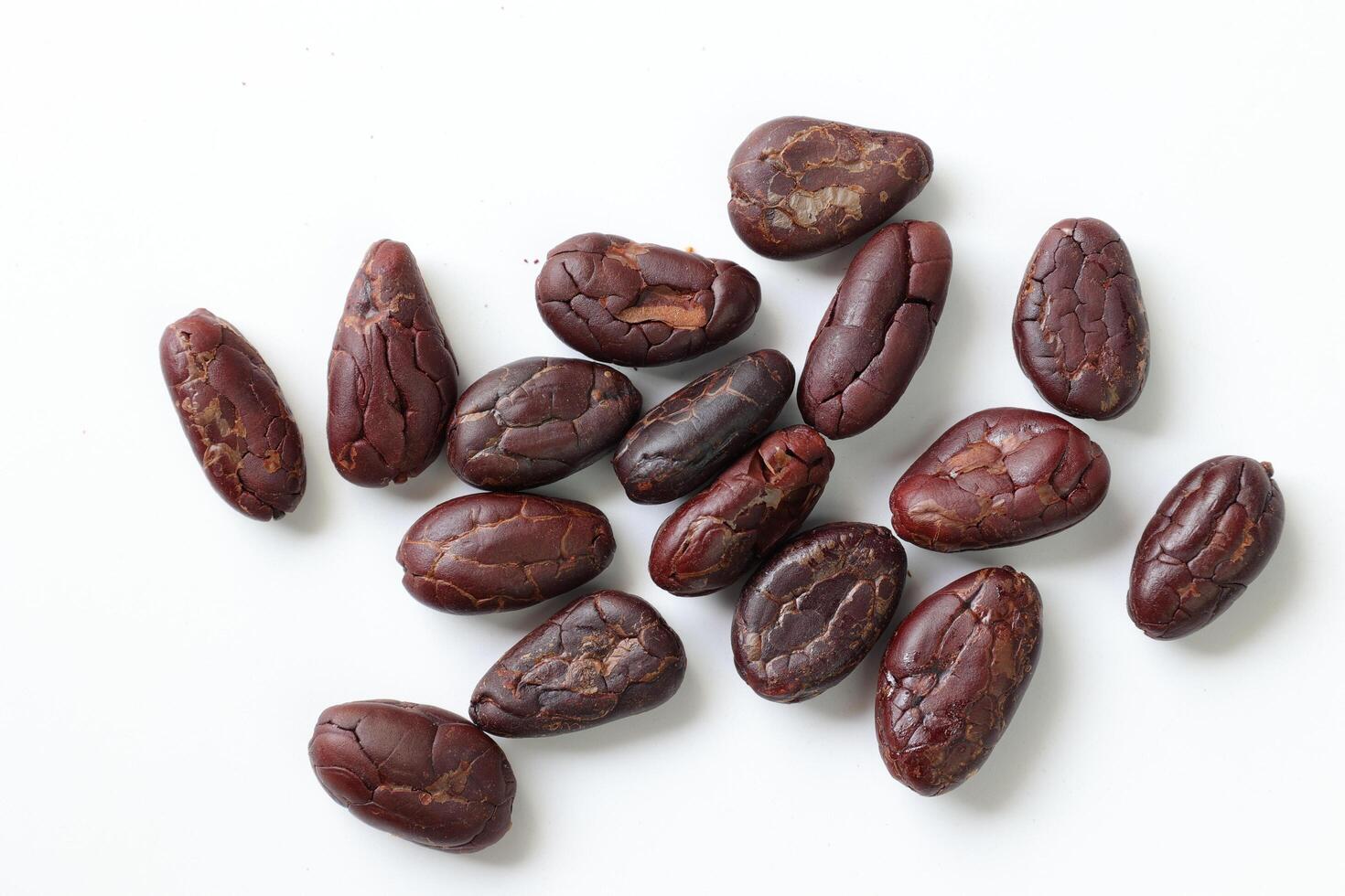 Brown roasted cocoa beans seeds, cocoa bean photo