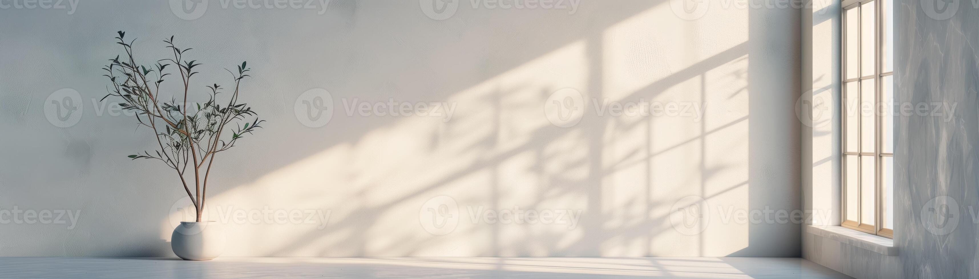 Minimalist interior with a potted plant and sunlight streaming through a window, casting soft shadows on a white wall. photo