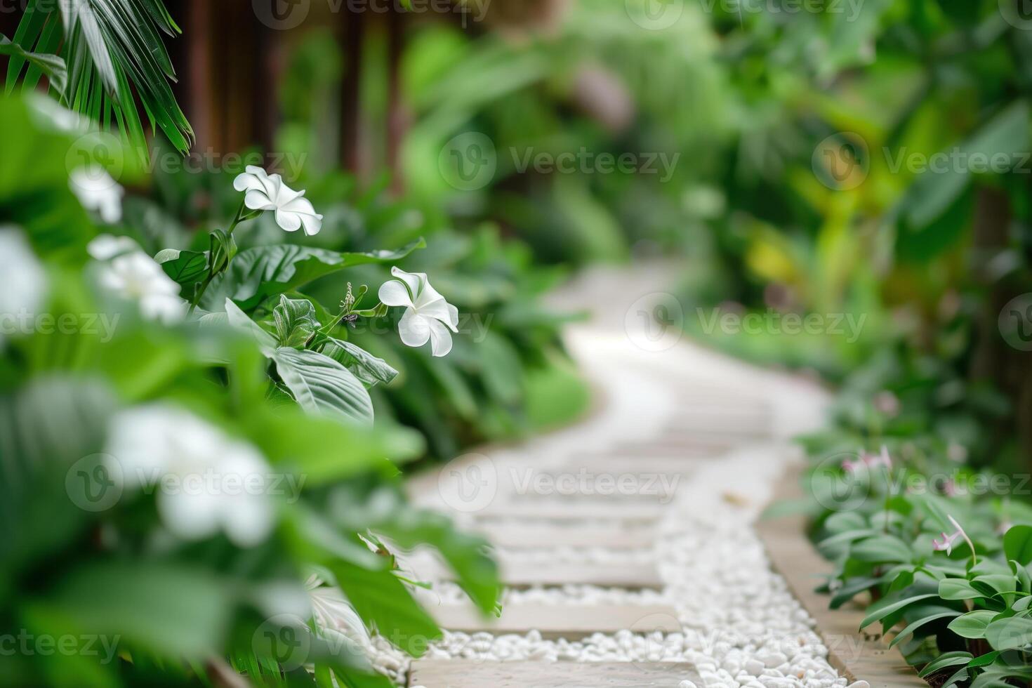 Tranquil garden pathway amid lush greenery and white flowers, creating a serene and inviting natural atmosphere. photo
