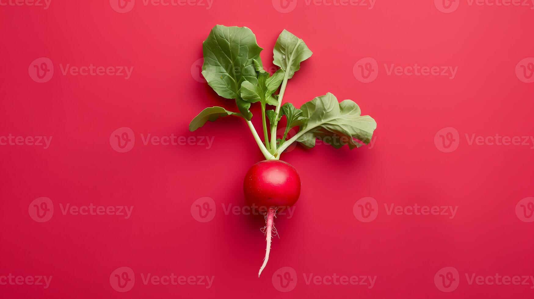 Fresh radish with green leaves on a vibrant red background. Perfect for health, nutrition, and farm-to-table themes. photo