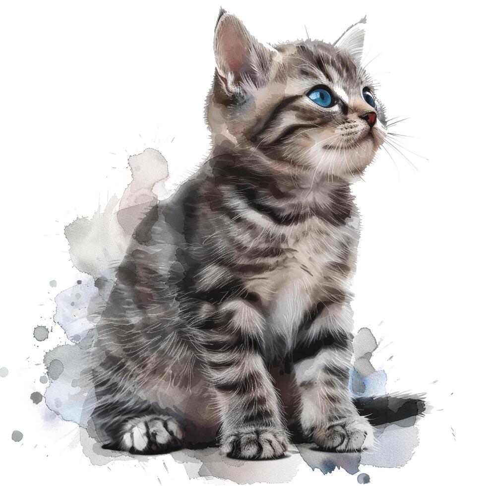 a painting of a kitten with blue eyes photo