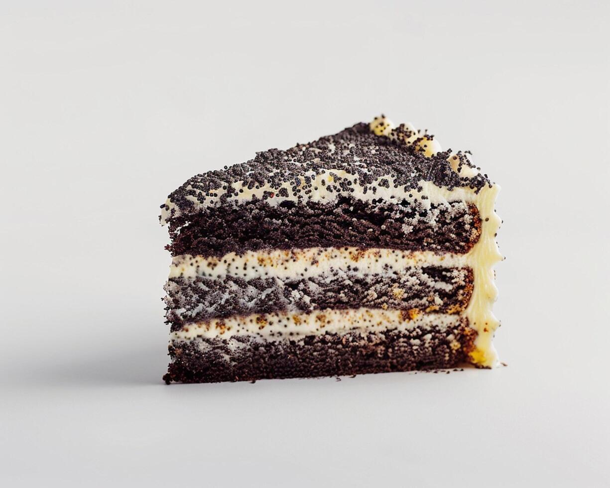 a piece of chocolate cake with white frosting photo