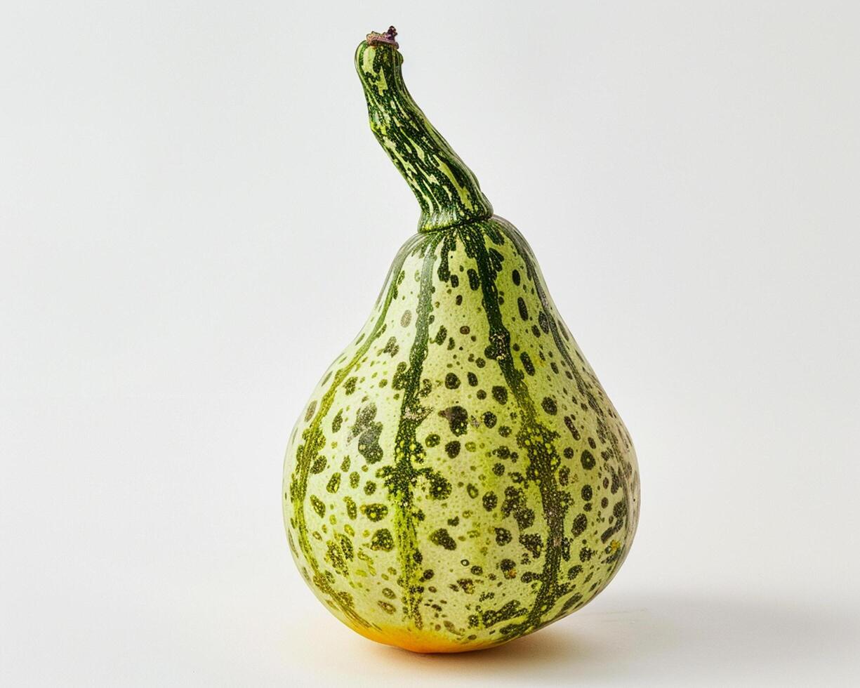 a green and yellow squash with spots on it photo