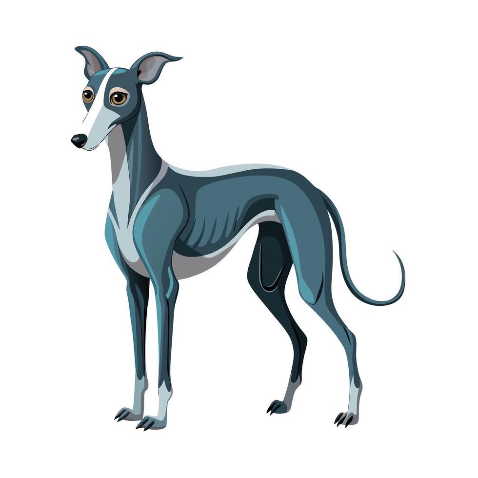 Realistic Pet Cat , Dog Illustration Concepts vector
