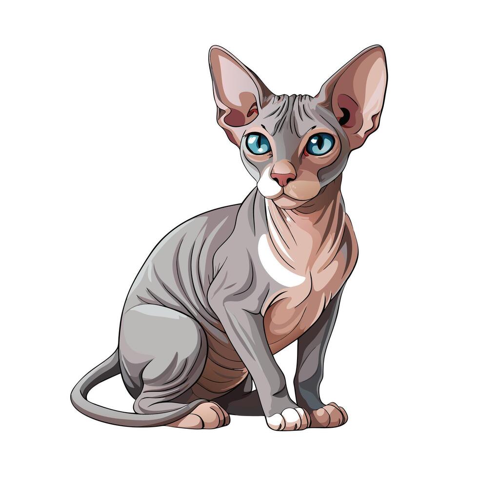 Realistic Illustration of Popular Pet Cat vector