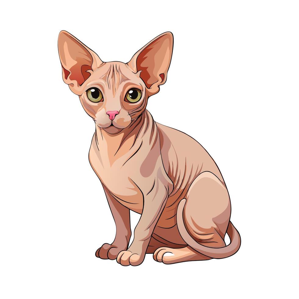 Realistic Illustration of Popular Pet Cat vector