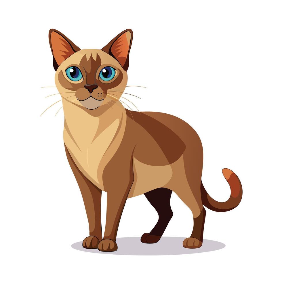 Realistic Illustration of Popular Pet Cat vector