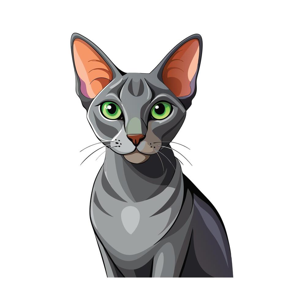 Realistic Illustration of Popular Pet Cat vector