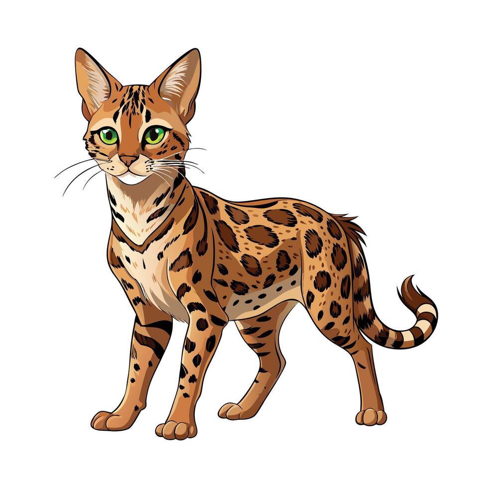 Realistic Illustration of Popular Pet Cat vector