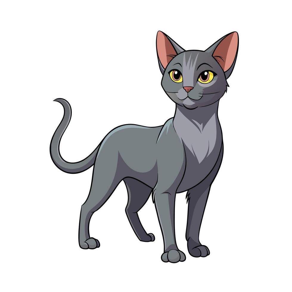 Realistic Illustration of Popular Pet Cat vector