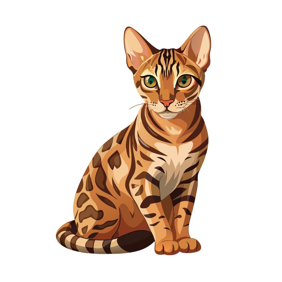 Realistic Illustration of Popular Pet Cat vector