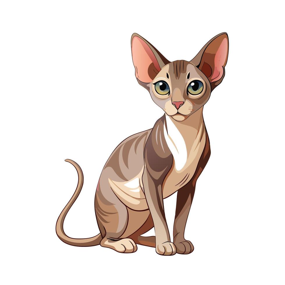 Realistic Illustration of Popular Pet Cat vector