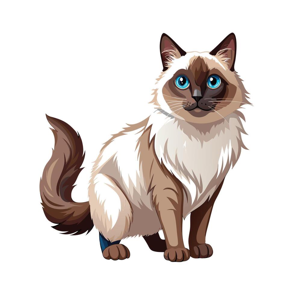 Realistic Illustration of Popular Pet Cat vector