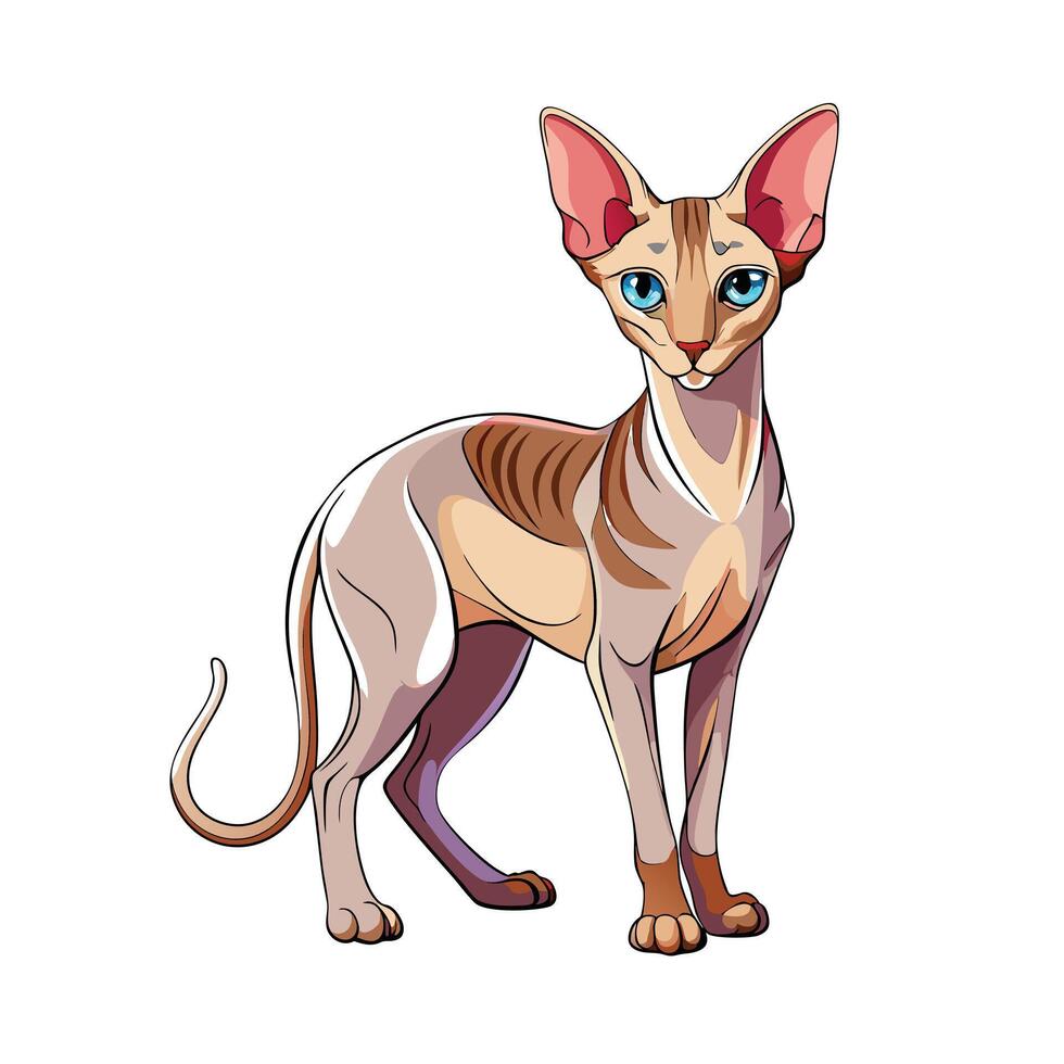 Realistic Illustration of Popular Pet Cat vector