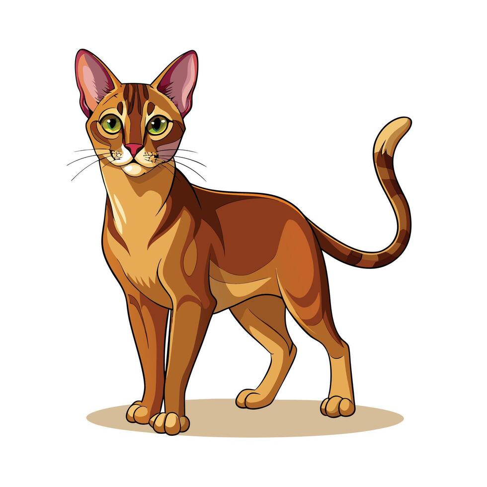 Realistic Illustration of Popular Pet Cat vector