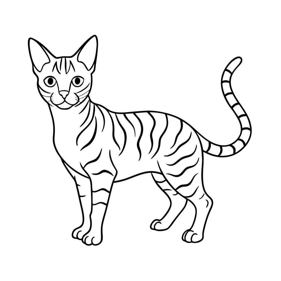 Realistic Illustration of Popular Pet Cat vector