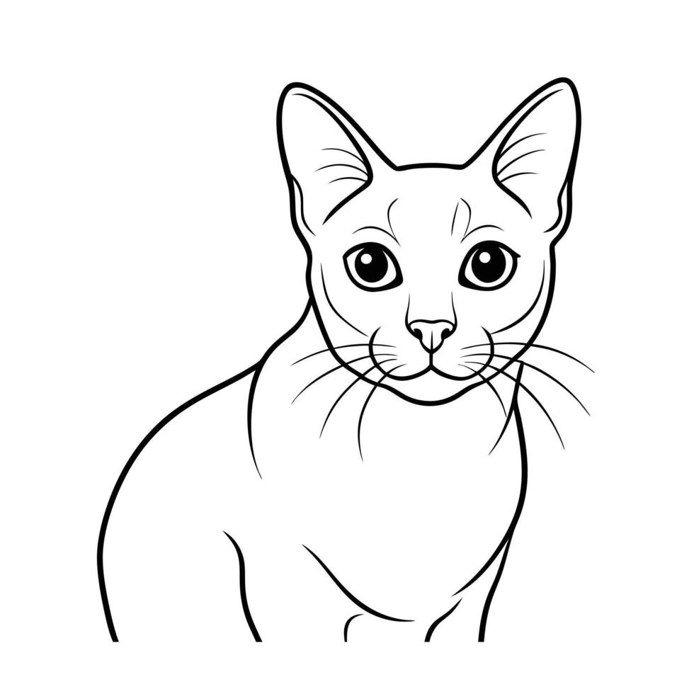 Realistic Illustration of Popular Pet Cat vector