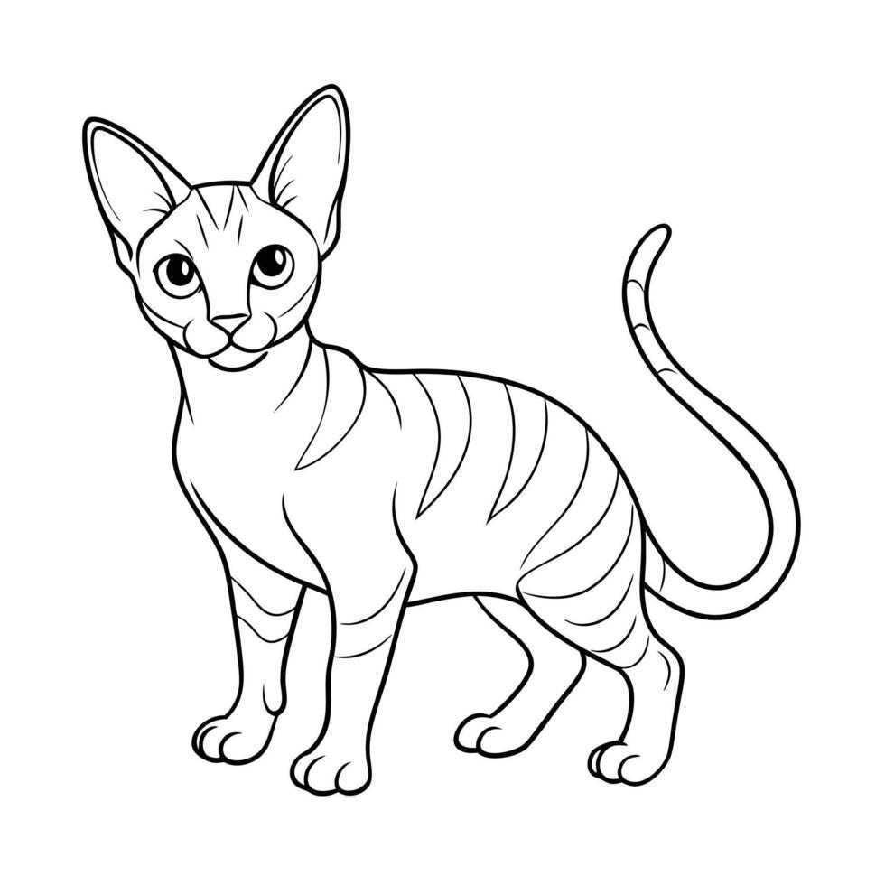 Realistic Illustration of Popular Pet Cat vector