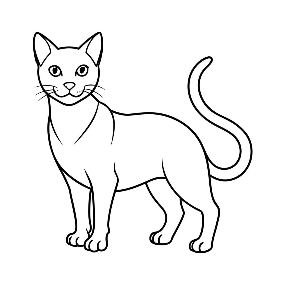 Realistic Illustration of Popular Pet Cat vector