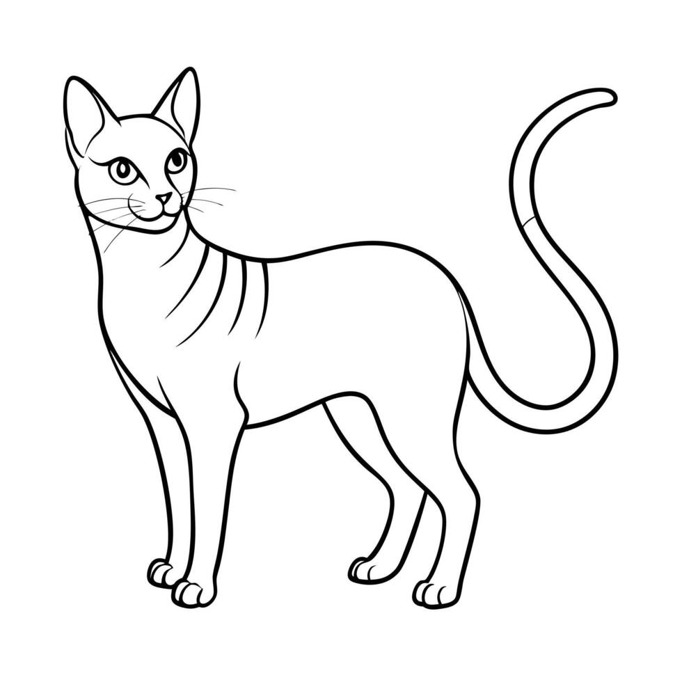 Realistic Illustration of Popular Pet Cat vector