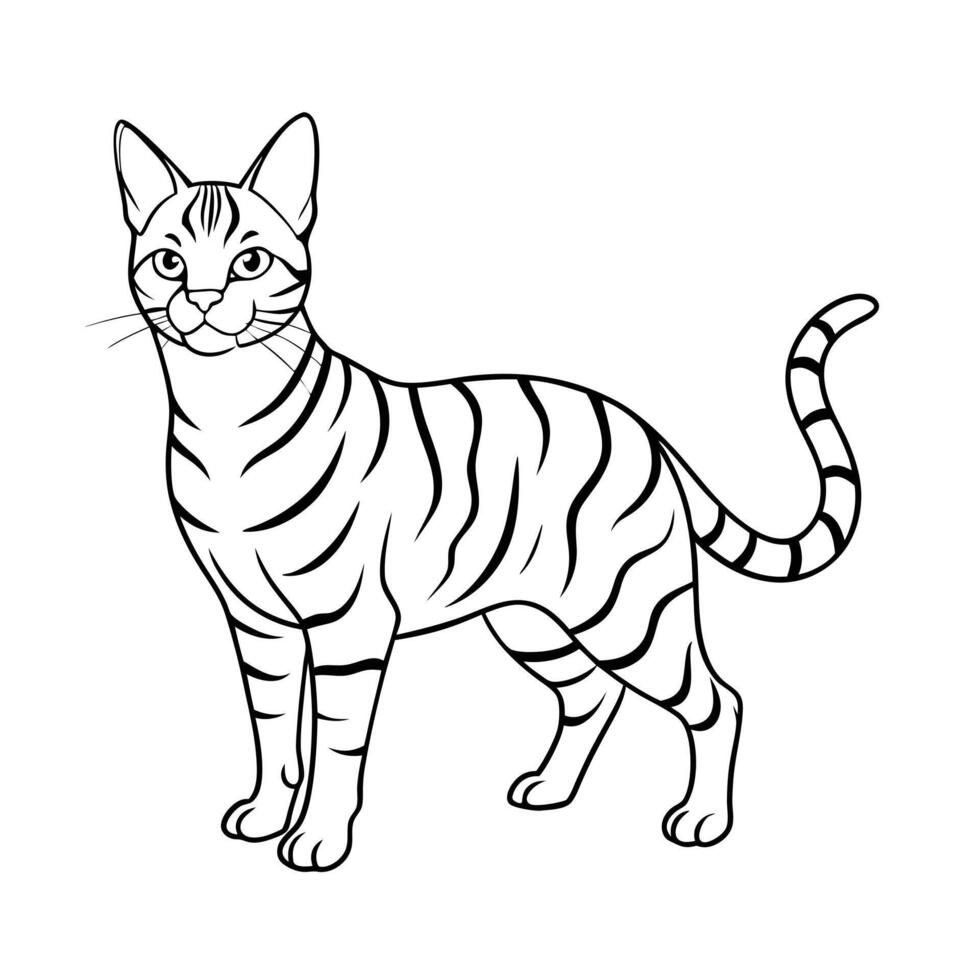 Realistic Illustration of Popular Pet Cat vector