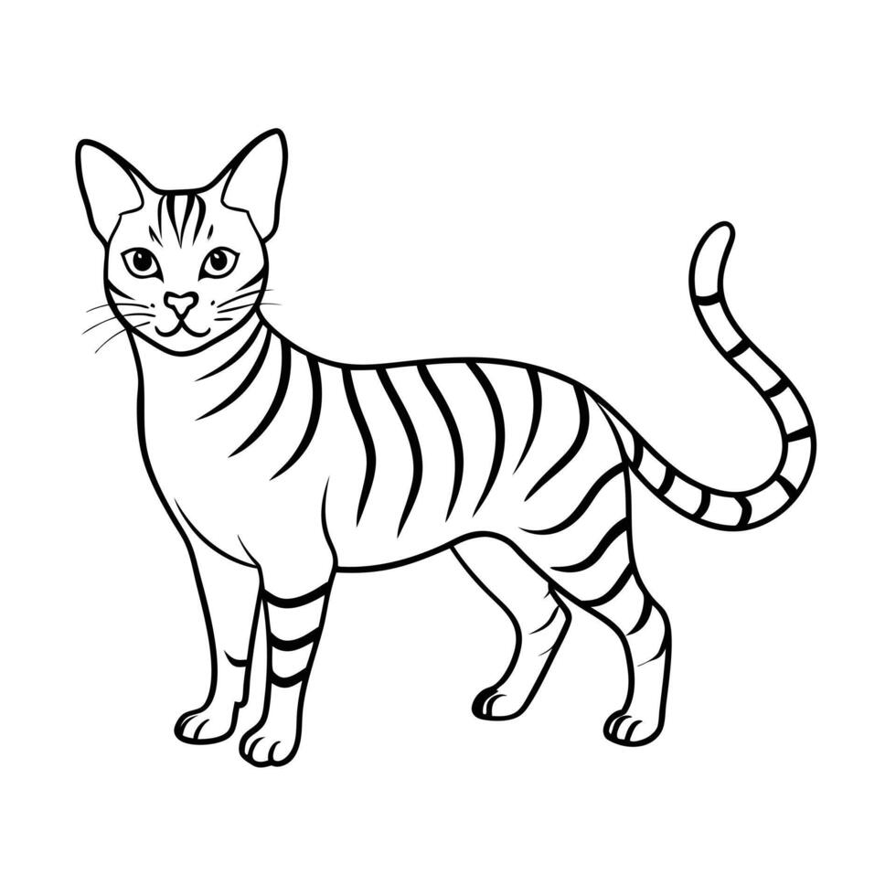 Realistic Illustration of Popular Pet Cat vector