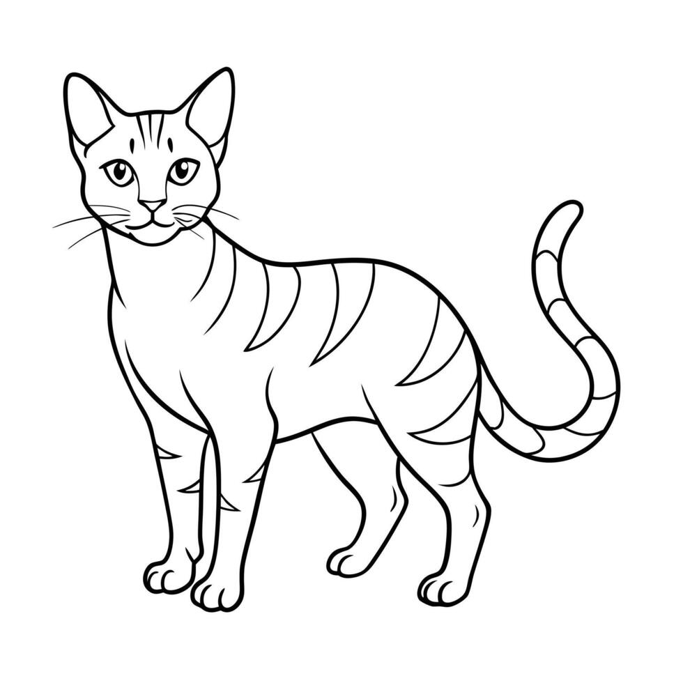 Realistic Illustration of Popular Pet Cat vector