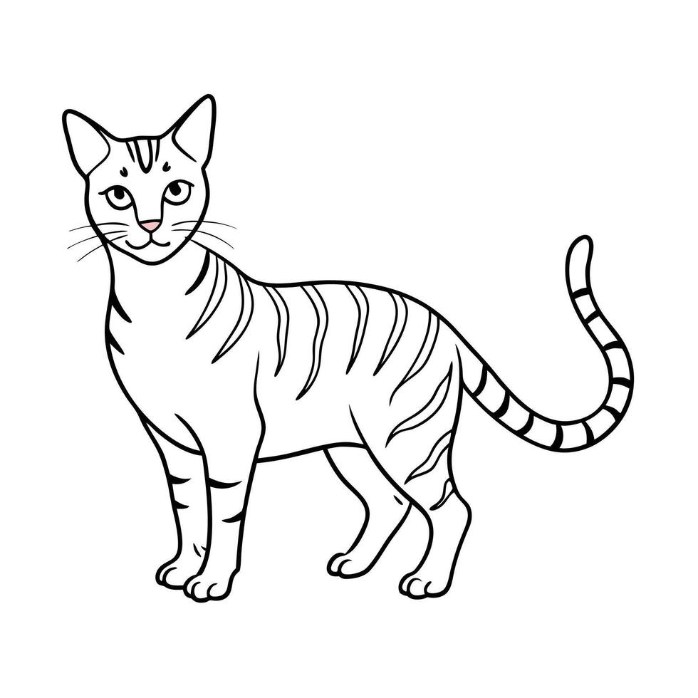 Realistic Illustration of Popular Pet Cat vector