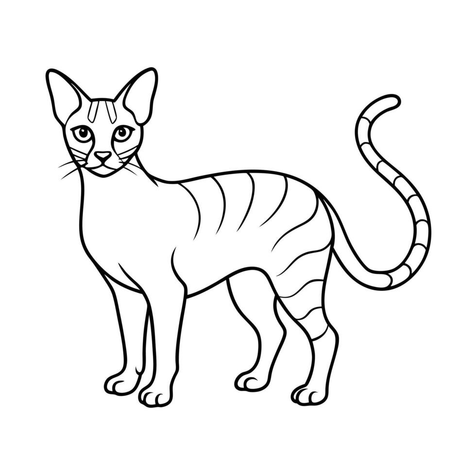 Realistic Illustration of Popular Pet Cat vector