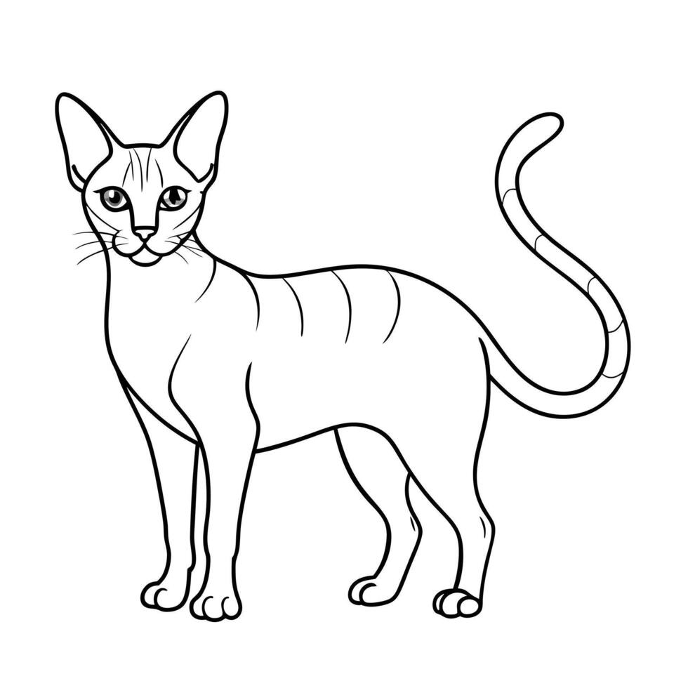 Realistic Illustration of Popular Pet Cat vector
