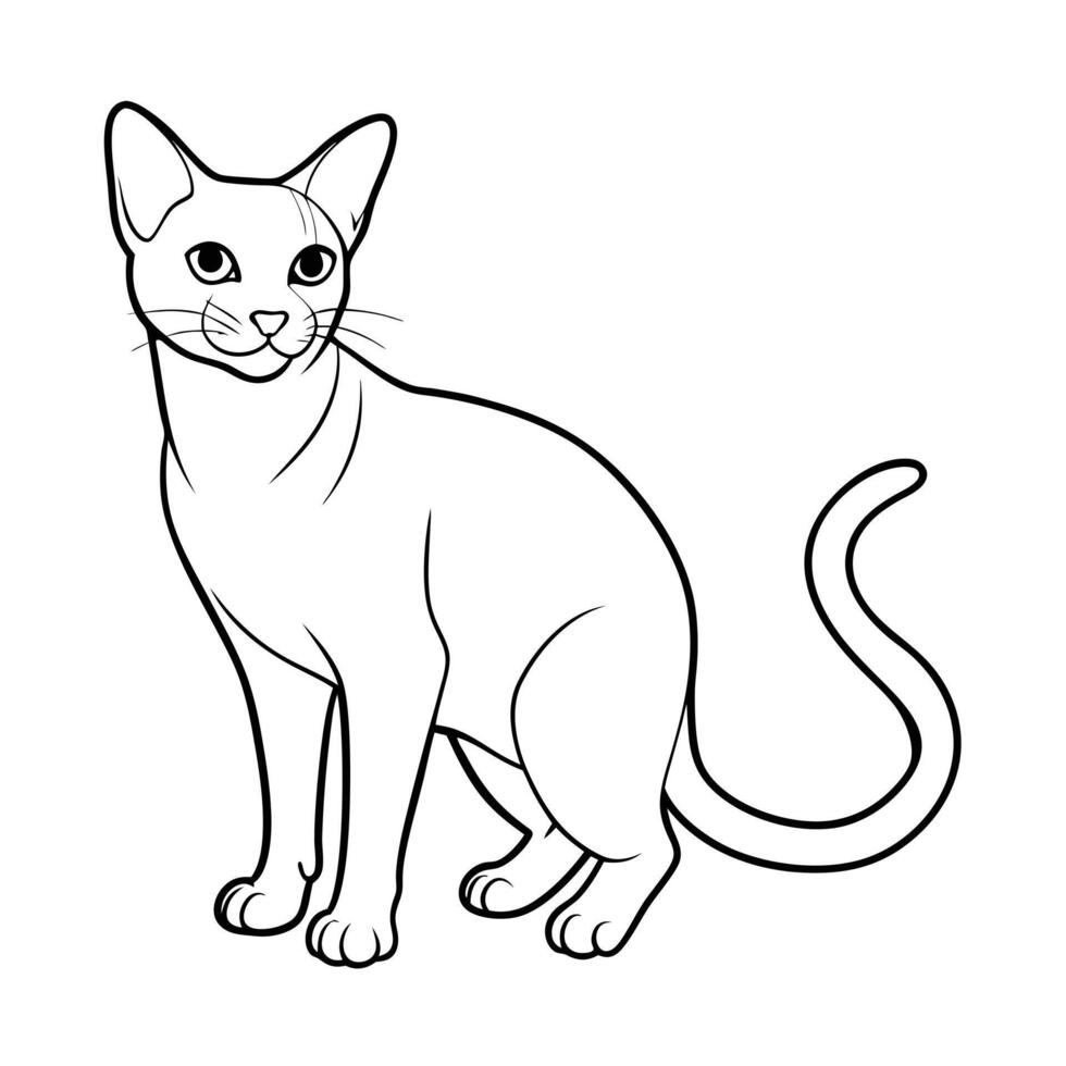 Realistic Illustration of Popular Pet Cat vector