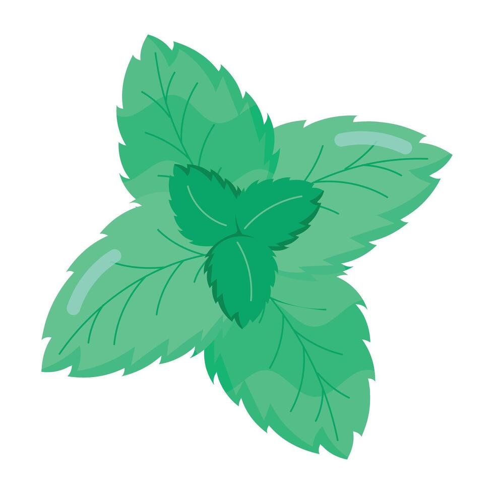 WebA flat style sticker of mint leaves vector