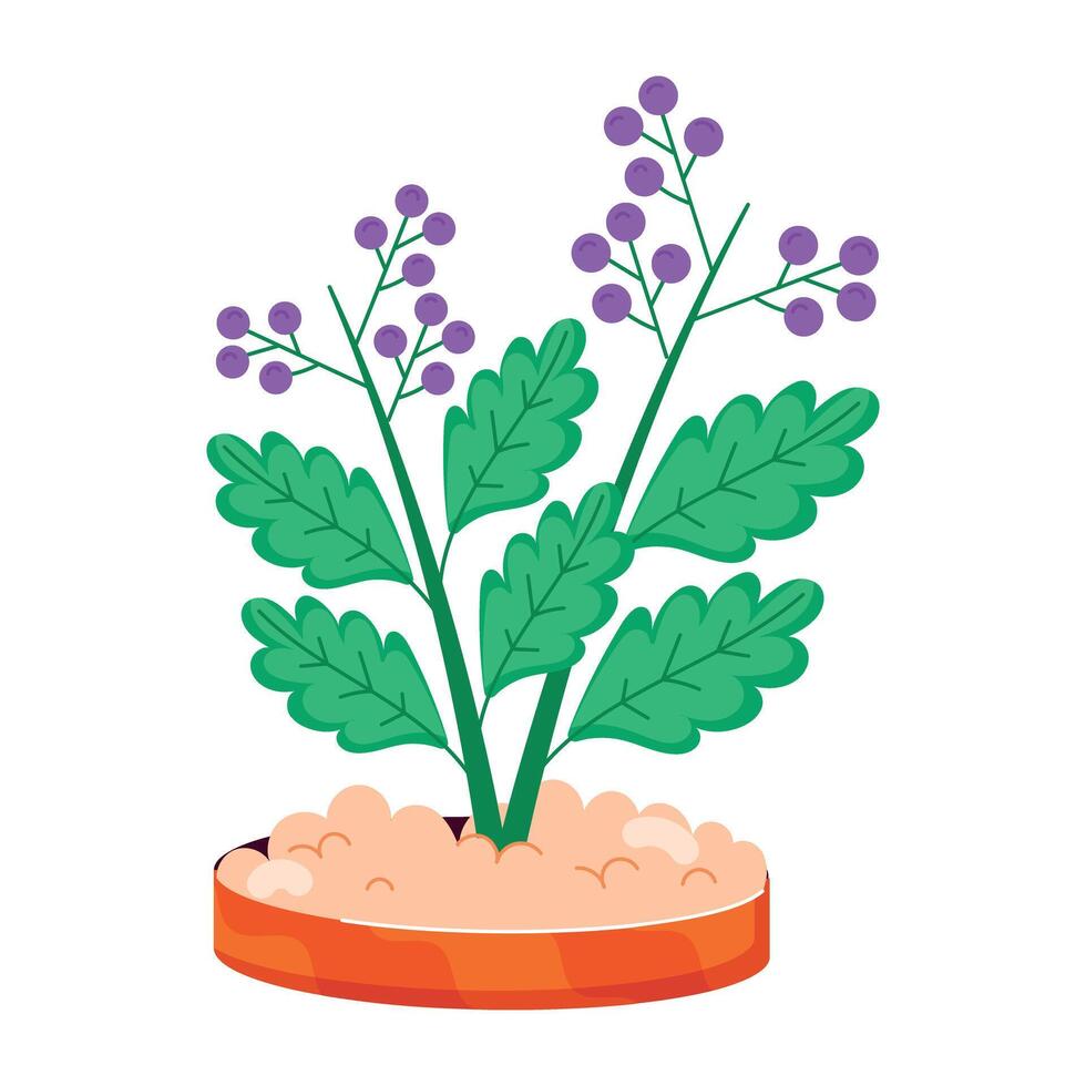 WebA flat style sticker of embelia plant vector