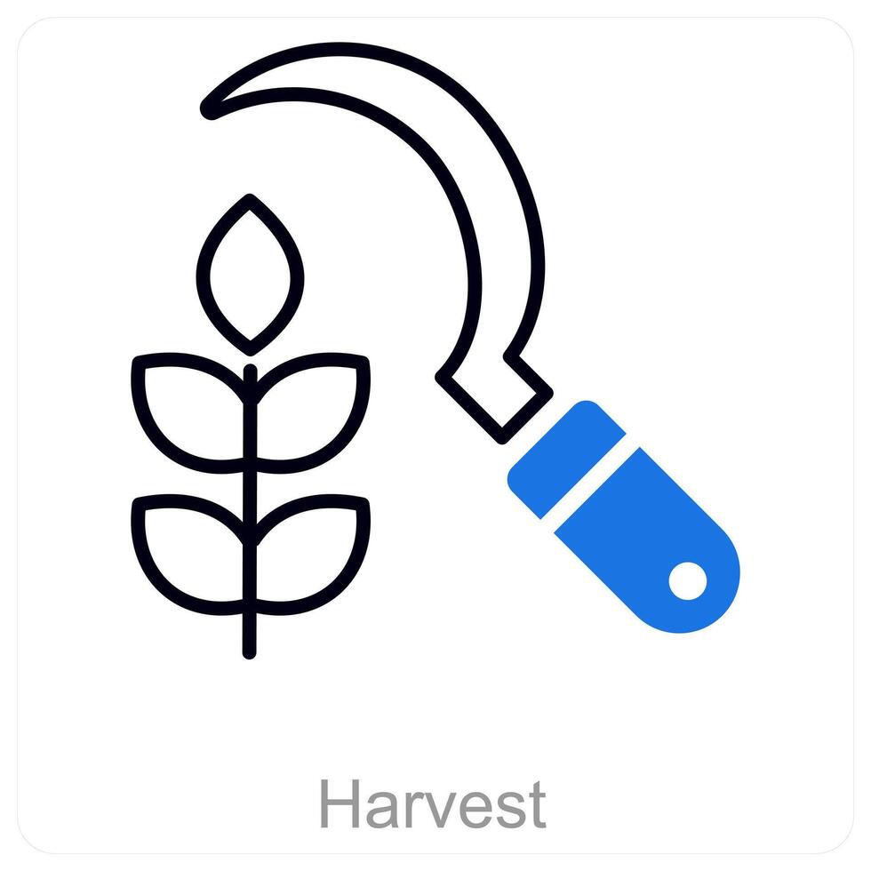 Harvest and wheat icon concept vector