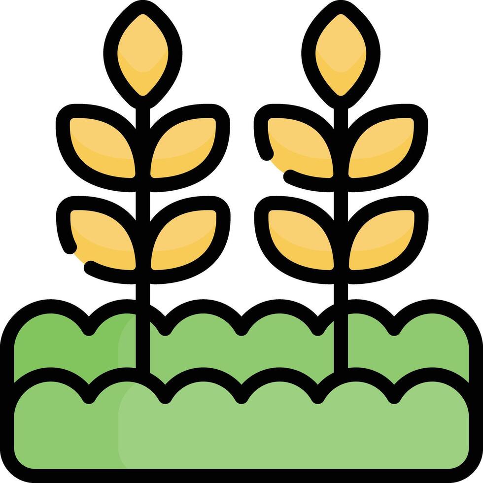 wheat illustration design vector