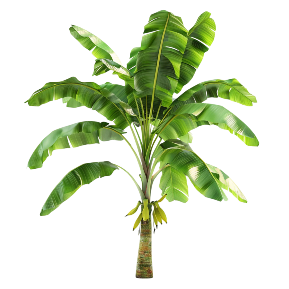 Banana Tree Generative-AI png