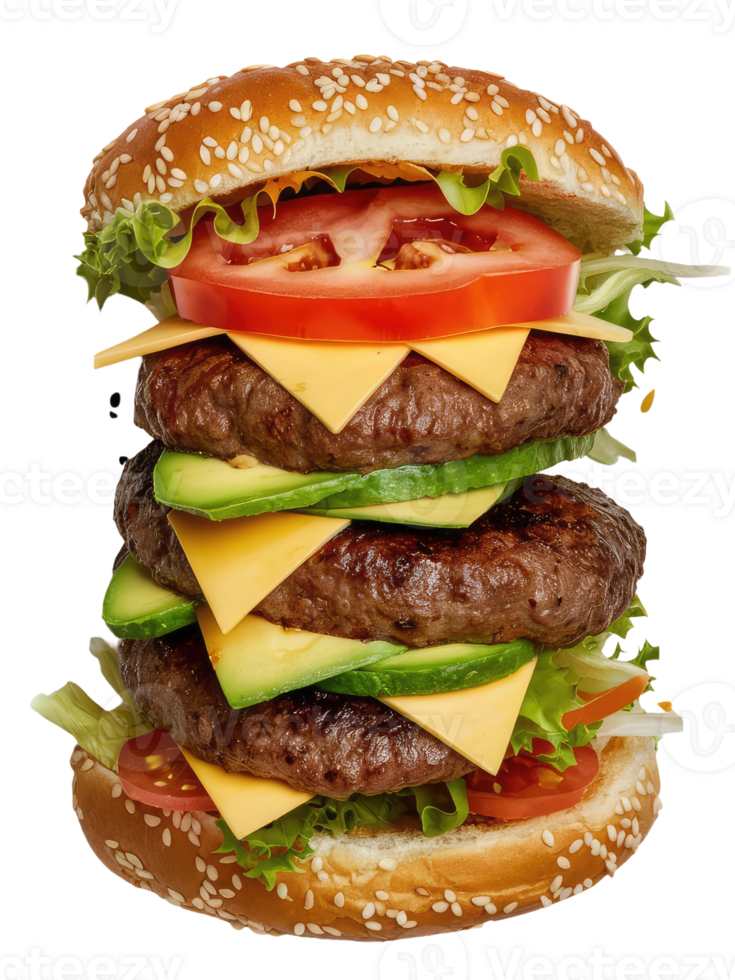 A Close-Up of a Classic Burger png