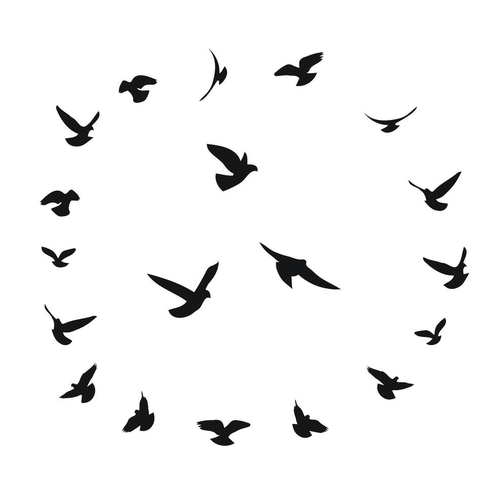 Silhouette sketch of a flock of flying birds, flight in different positions. Takeoff, flying, flight, flutter, hover, soaring, landing vector