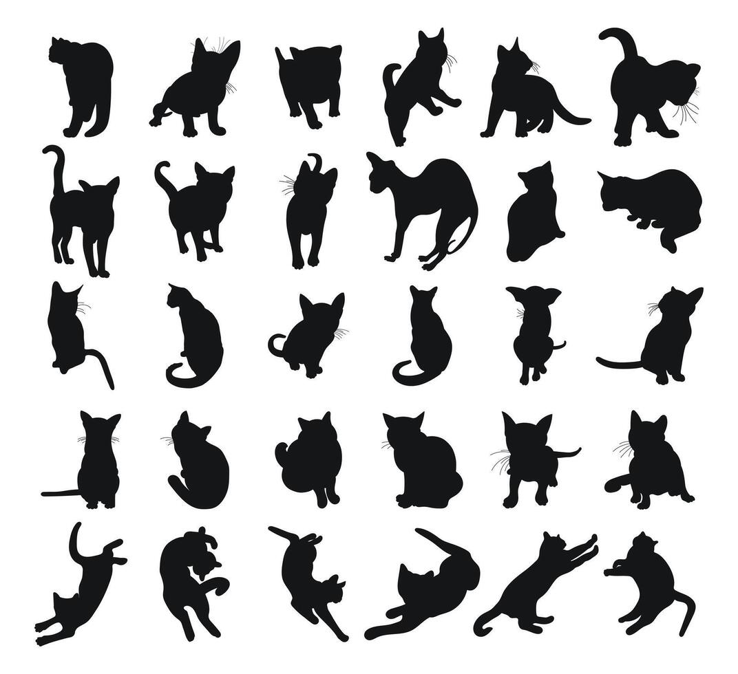 Cat silhouette collection, black silhouette on a white background vector