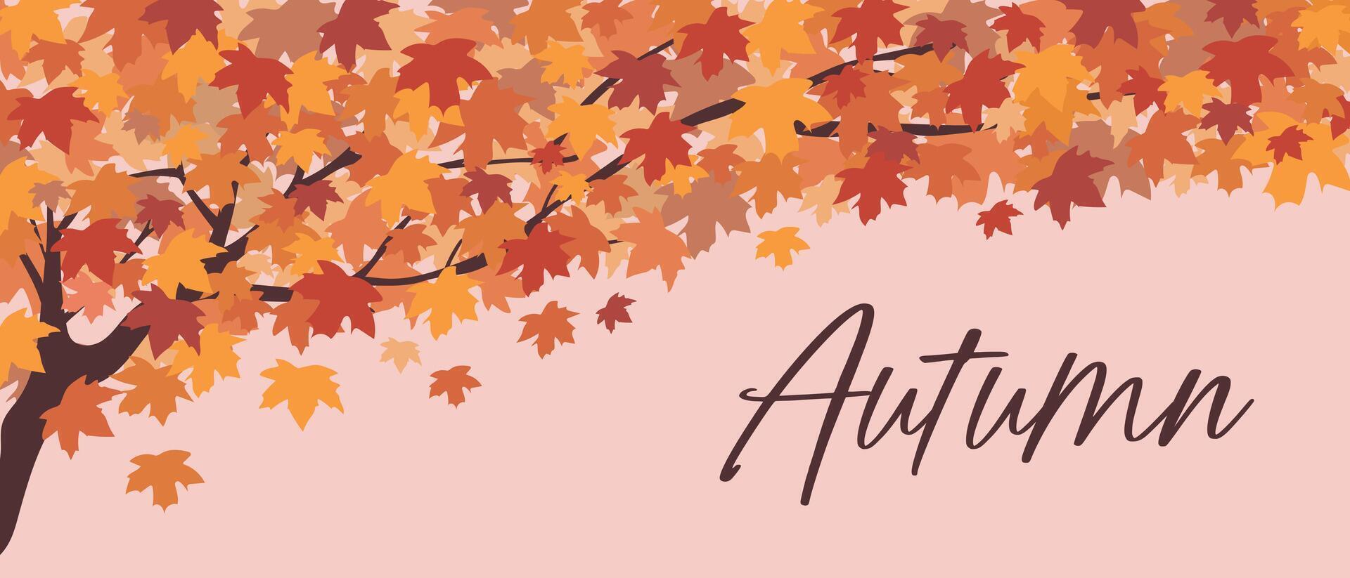 Autumn tree branch. Autumn background. Autumn leaves on a branch. vector
