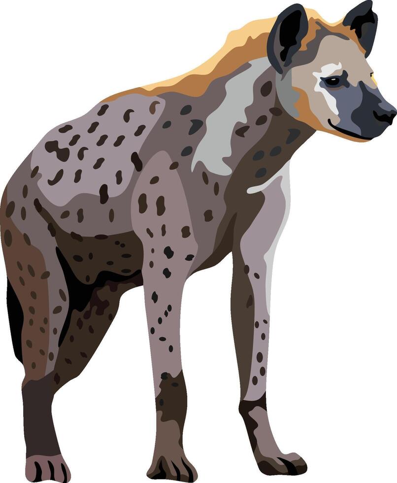 Hyena Mammal Wild Animal vector