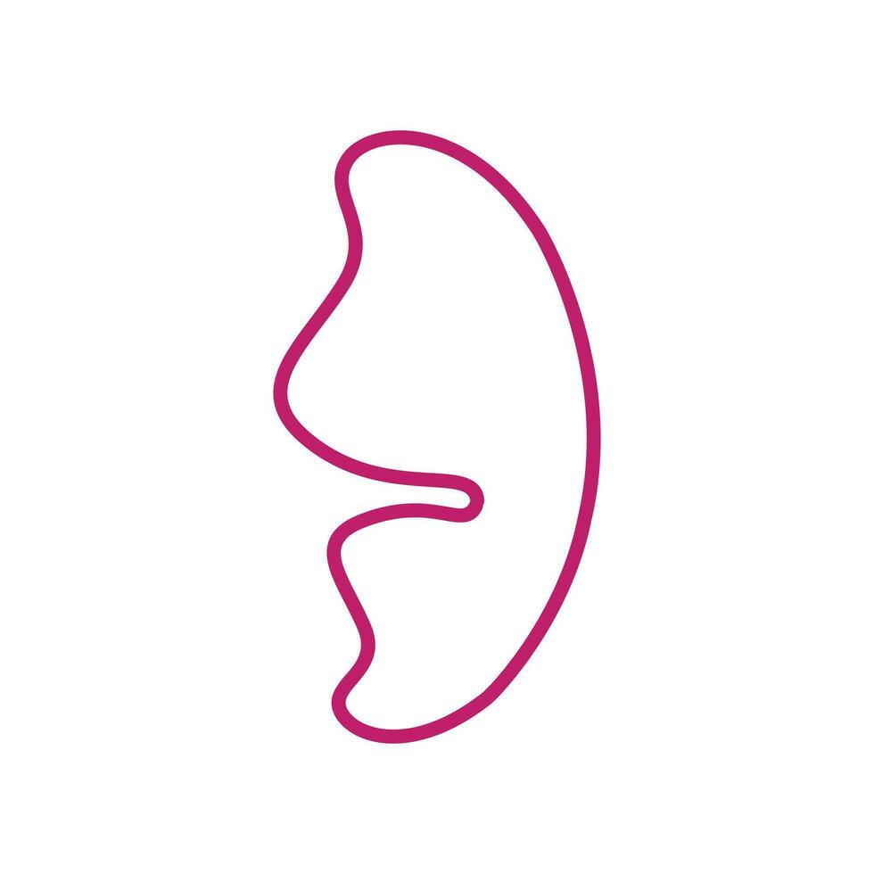 illustration of half butterfly wings and fairy wings in pink line style. Can be used for various purposes such as illustrating children's fairy tales, story book frames, etc vector