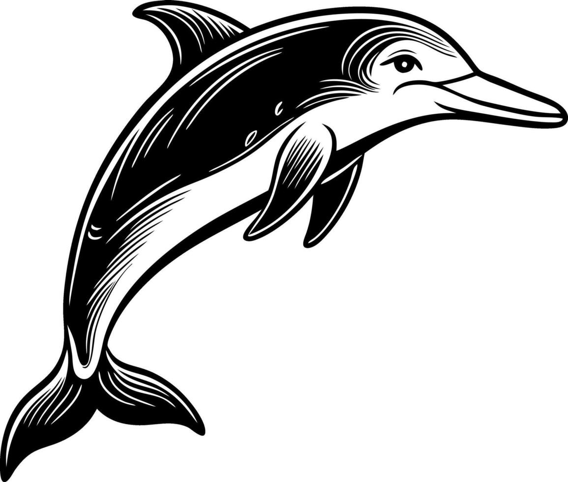 A black and white dolphin is leaping out of the water vector
