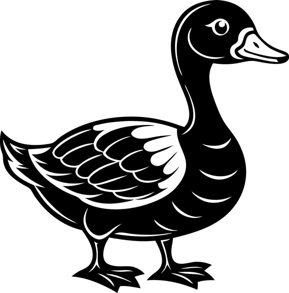 A black duck with a white eye stands on a white background vector