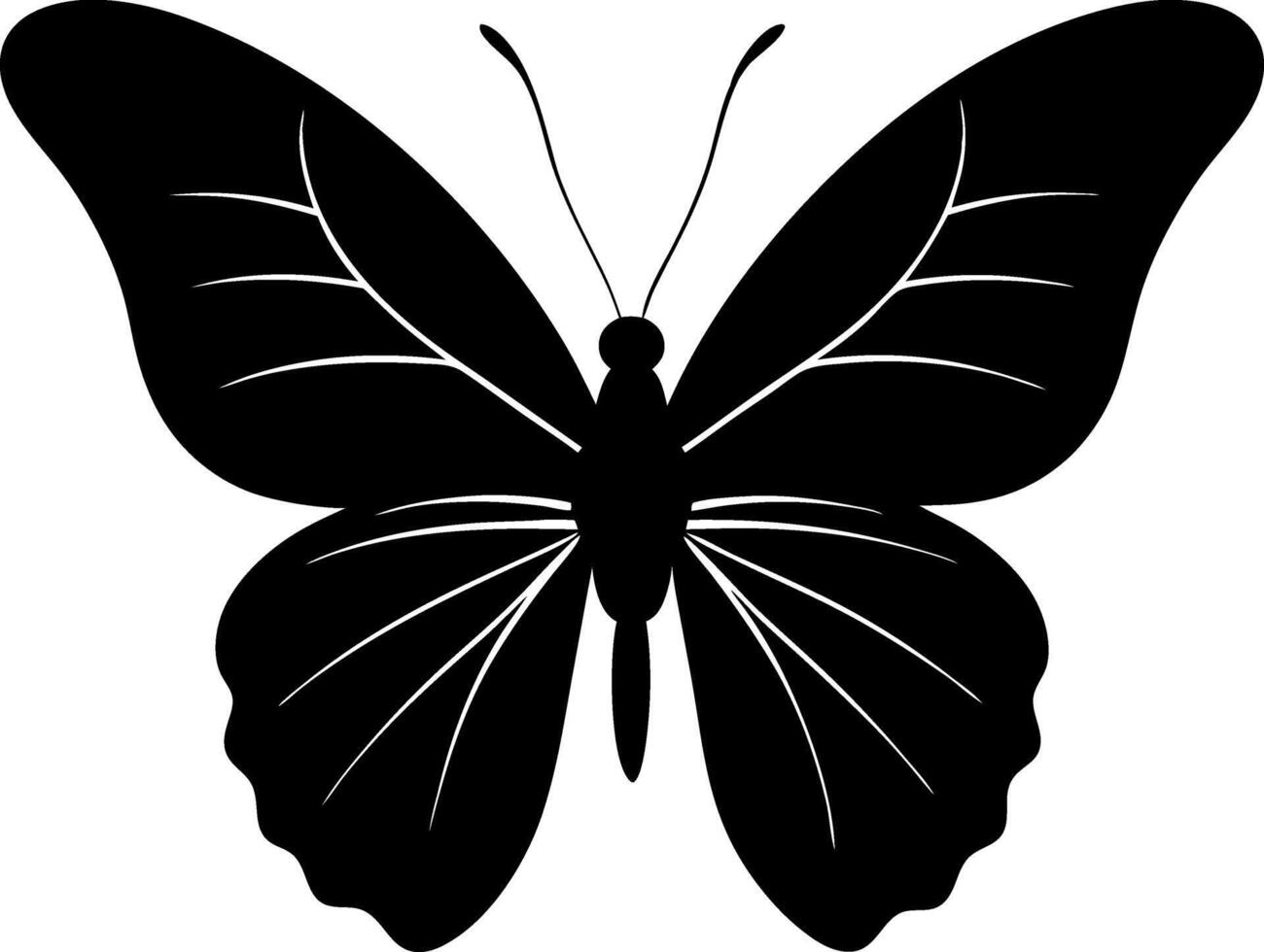 A black and white butterfly with a black body and black wings vector
