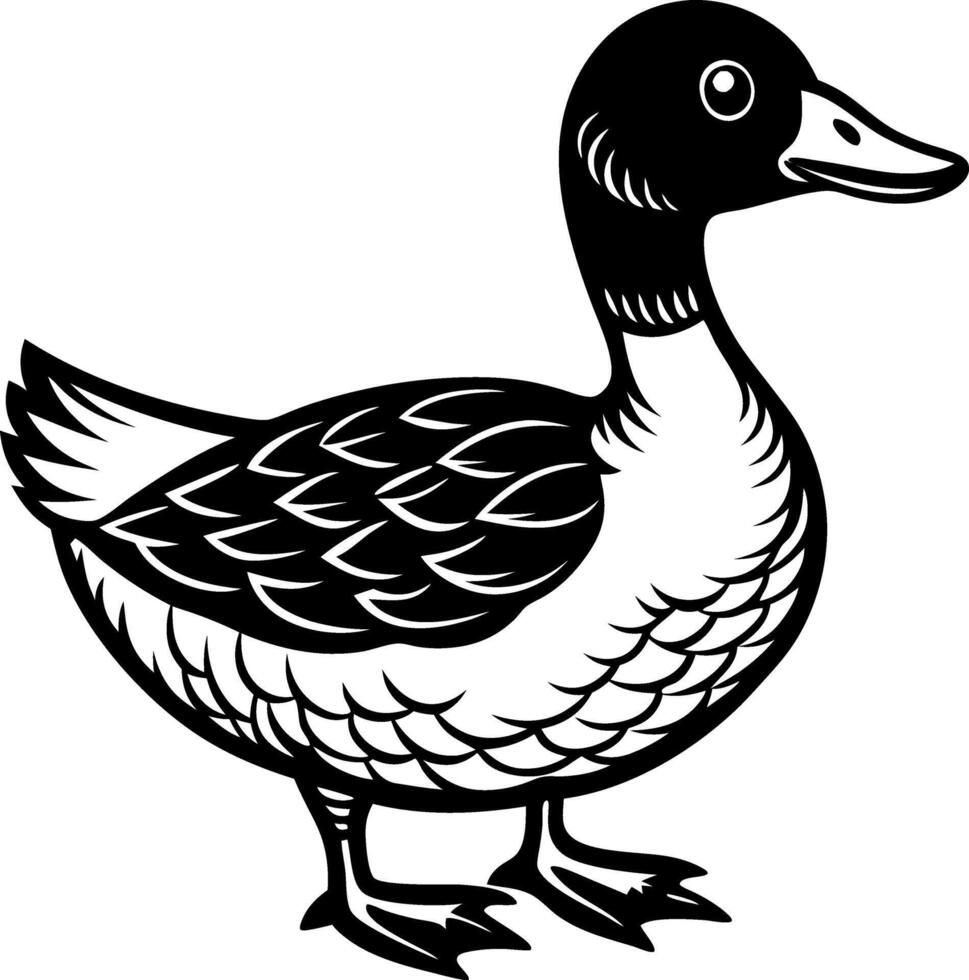 A duck is standing on a white background vector